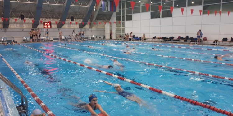 Зональный этап окружных соревнований по плаванию «Веселый дельфин».