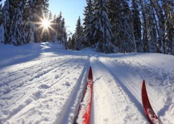 Приглашаем принять участие в XXXVIII открытой Всероссийской массовой лыжной гонке «Лыжня России –2020»!