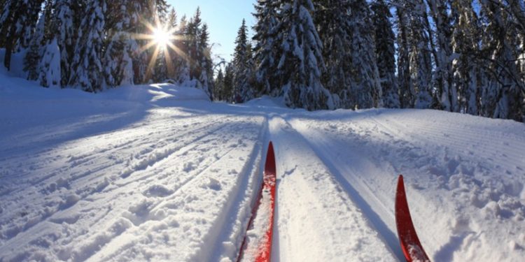 Приглашаем принять участие в XXXVIII открытой Всероссийской массовой лыжной гонке «Лыжня России –2020»!